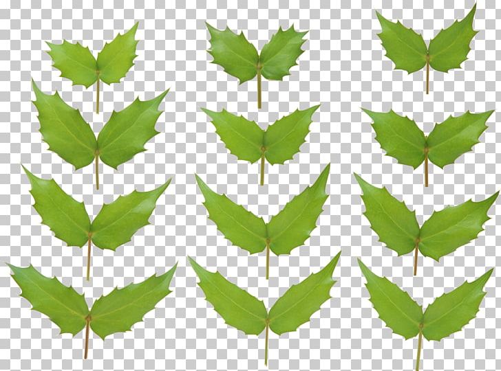 2018 Nissan LEAF 2017 Nissan LEAF Plant Stem Food PNG, Clipart, Autumn Leaf Color, Branch, Digital Image, Download, Free Free PNG Download