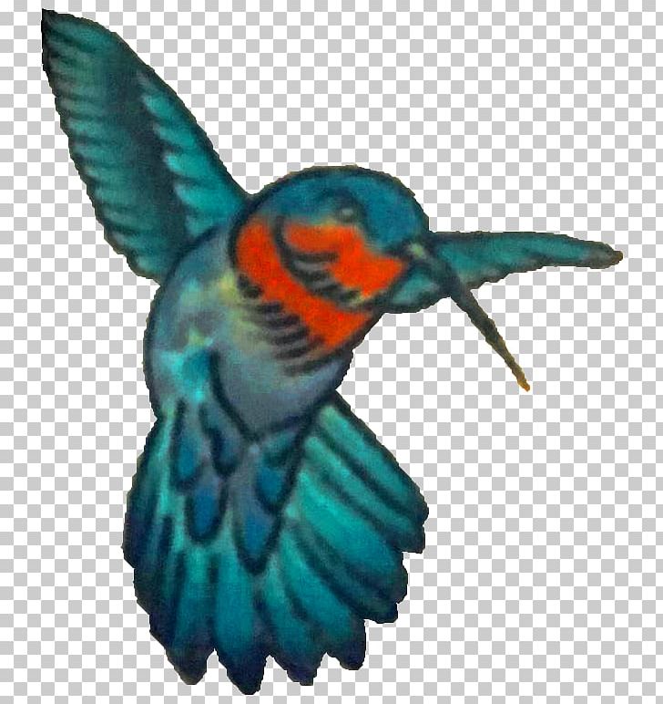 Hummingbird Yoga Pants Beak Pain PNG, Clipart, Animals, Beak, Bird, Coraciiformes, Fauna Free PNG Download