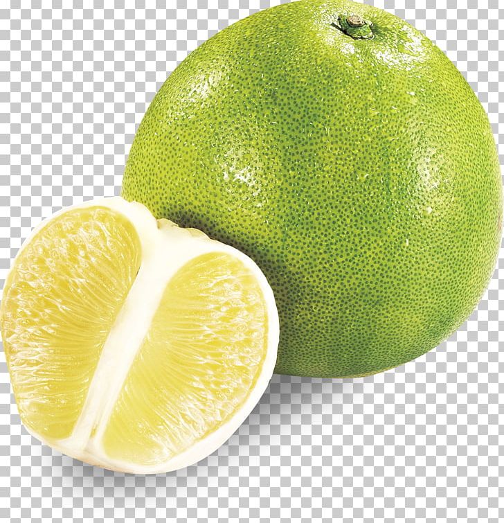 Persian Lime Pomelo Grapefruit Lemon PNG, Clipart, Background Green, Bitter Orange, Christmas Decoration, Citric Acid, Citron Free PNG Download