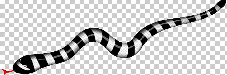 Reptile Coral Reef Snakes Drawing PNG, Clipart, Animal, Animal Figure, Animals, Black And White, Computer Font Free PNG Download