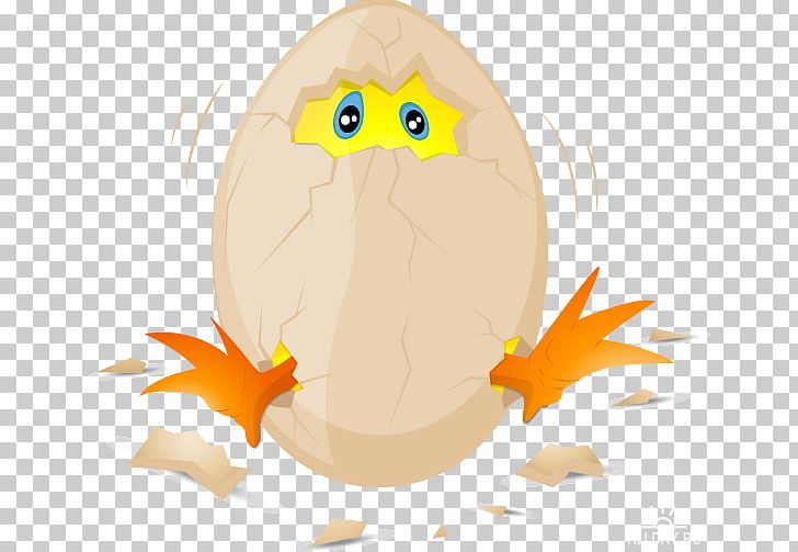 Chicken Egg Graphics PNG, Clipart, Animals, Art, Baby, Bird, Carnivoran Free PNG Download