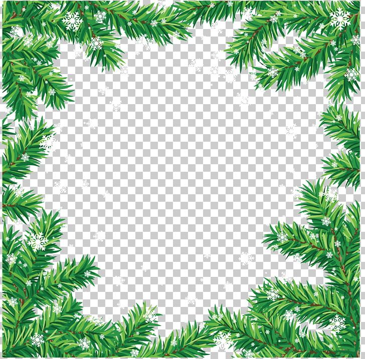 Christmas Ornament Photography Christmas Tree PNG, Clipart, Border Frames, Branch, Christmas, Christmas Card, Christmas Decoration Free PNG Download