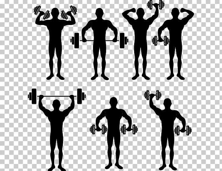Physical Exercise Physical Fitness Stretching Silhouette PNG, Clipart, Animals, Arm, City Silhouette, Drawing, Exercise Free PNG Download