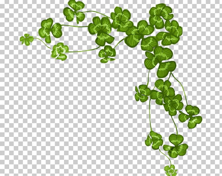 Four-leaf Clover Shamrock Saint Patrick's Day PNG, Clipart, Branch, Clover, Desktop Wallpaper, Drawing, Flowers Free PNG Download
