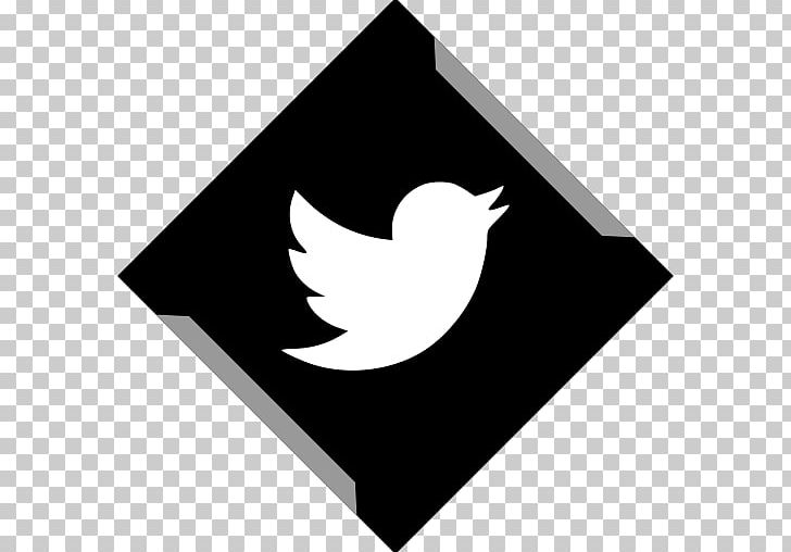 Computer Icons Social Media Pure Skin Aesthetic & Laser Center YouTube Icon Design PNG, Clipart, Angle, Beak, Bird, Black, Black And White Free PNG Download
