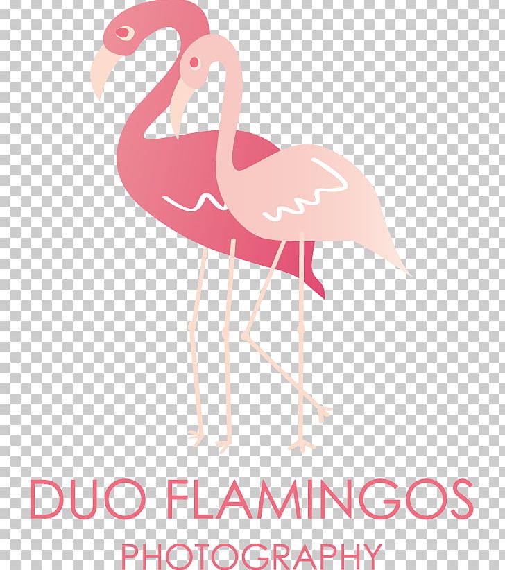 Word Duo Flamingos Photography PNG, Clipart, Article, Beak, Bird, Duo, Flamingo Free PNG Download