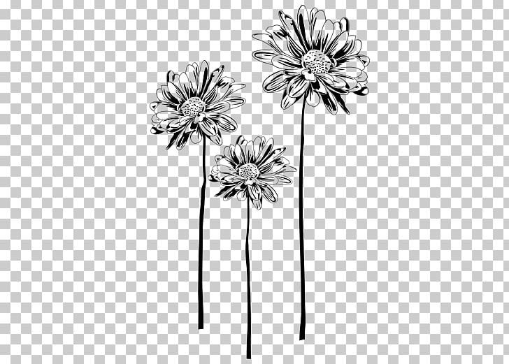 Blume Wall Decal Oxeye Daisy Furniture Living Room PNG, Clipart, Bedroom, Black And White, Blume, Body Jewelry, Dining Room Free PNG Download