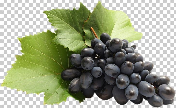 Common Grape Vine Zante Currant PNG, Clipart, Berry, Bilberry, Blackcurrant, Blueberry, Common Grape Vine Free PNG Download