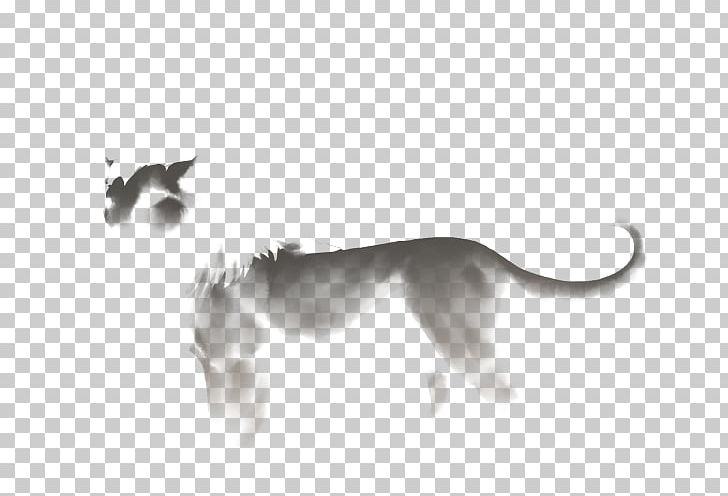 Dog Breed Whippet Italian Greyhound Snout PNG, Clipart, 08626, Black, Black And White, Breed, Carnivoran Free PNG Download