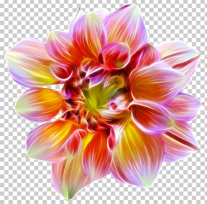 Flower Dahlia Desktop PNG, Clipart, Annual Plant, Cut Flowers, Dahlia, Daisy Family, Desktop Wallpaper Free PNG Download