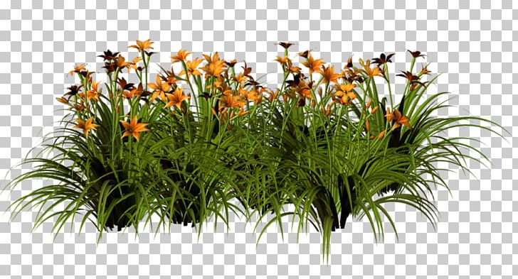 Grasses Floral Design Flowerpot Shrub PNG, Clipart, Art, Cicek, Family, Floral Design, Flower Free PNG Download