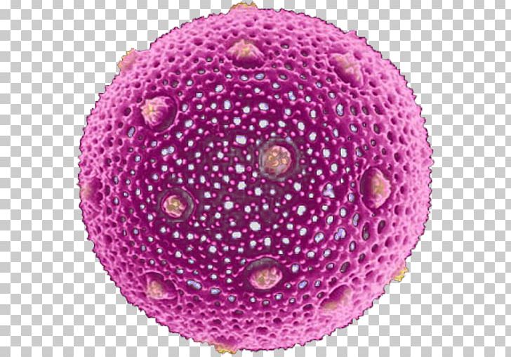 Pollen Scanning Electron Microscope Allergy PNG, Clipart, Allergy, Android, Cell, Circle, Clockwork Orange Free PNG Download