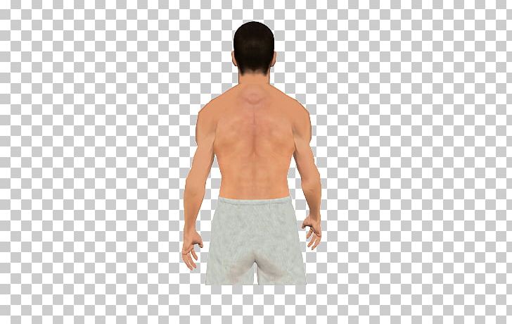 Shoulder Teres Major Muscle Teres Minor Muscle Latissimus Dorsi Muscle Bicipital Groove PNG, Clipart, Abdomen, Active Undergarment, Antagonist, Arm, Arm Muscle Free PNG Download