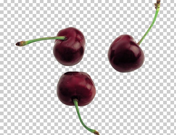Sweet Cherry Cerasus PNG, Clipart, Berry, Cerasus, Cherry, Download, Food Free PNG Download
