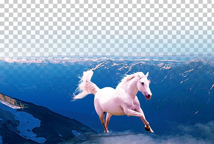 Horse Gallop PNG, Clipart, Color, Computer Wallpaper, Decoration, Download, Dream Free PNG Download