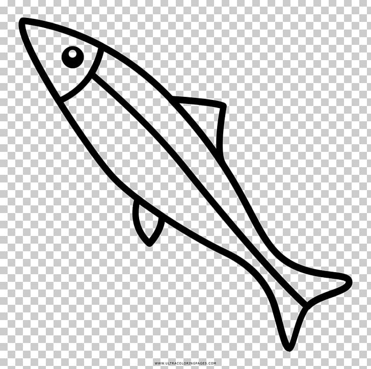 Sardine Drawing Coloring Book European Anchovy PNG, Clipart, Anchovy, Ansjosfamilien, Area, Art, Artwork Free PNG Download