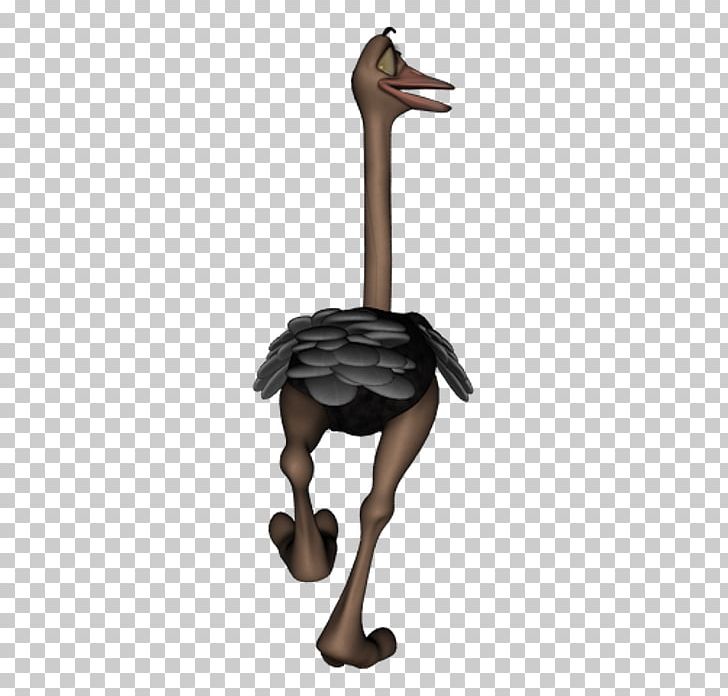 Common Ostrich Water Bird Neck Beak PNG, Clipart, Animals, Beak, Bird, Common Ostrich, Flightless Bird Free PNG Download