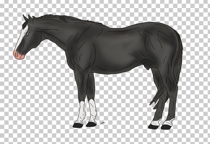 Mane Mustang Stallion Foal Mare PNG, Clipart, Animal Figure, Bridle, Bud, Colt, English Riding Free PNG Download