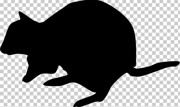 Whiskers Cat Dog Snout PNG, Clipart, Animals, Artwork, Black, Black And White, Black M Free PNG Download