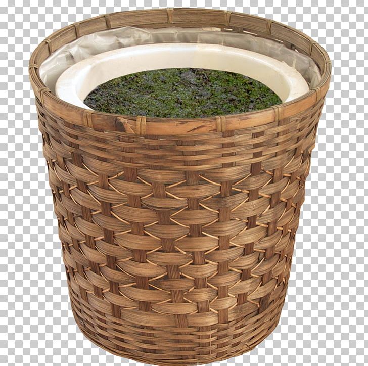 Flowerpot Bonsai Bamboo PNG, Clipart, Bamboo, Basket, Basket Of Apples, Baskets, Bonsai Free PNG Download