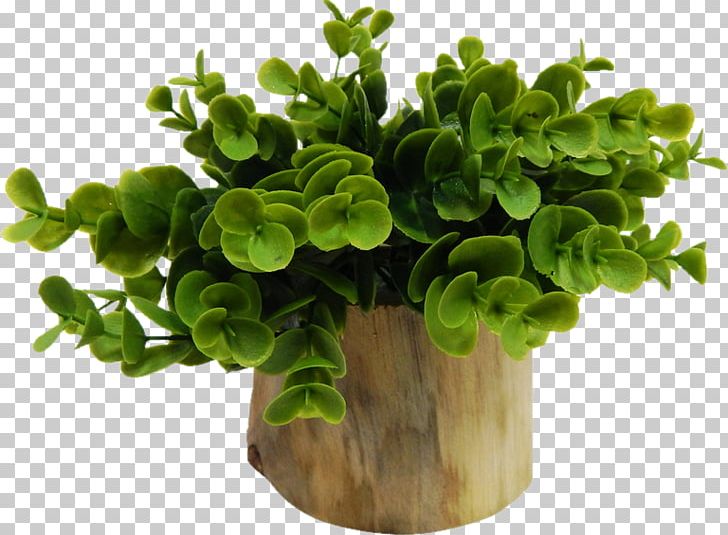 Flowerpot Houseplant Window Blinds & Shades PNG, Clipart, Bonsai, Desk, Dining Room, Eucalyptus, Eucalyptus Gunnii Free PNG Download