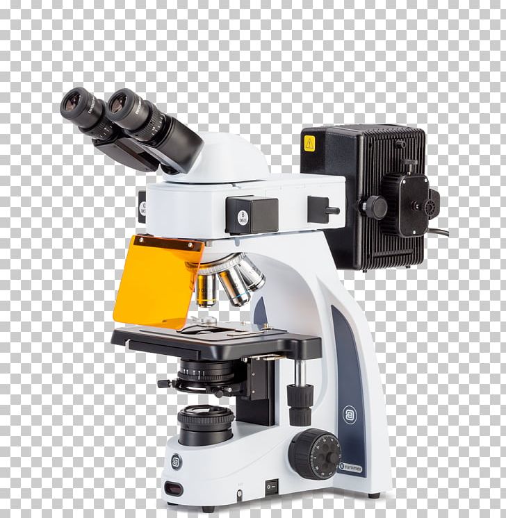 Fluorescence Microscope Stereo Microscope Petrographic Microscope PNG, Clipart, Angle, Bino, Biology, Eyepiece, Fluorescence Free PNG Download