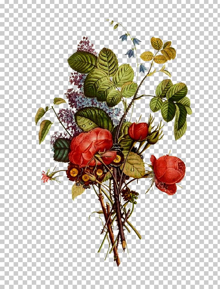 Fruit Flower Berry Floral Design PNG, Clipart, Art, Bellflower, Berry, Botanical Illustration, Botany Free PNG Download