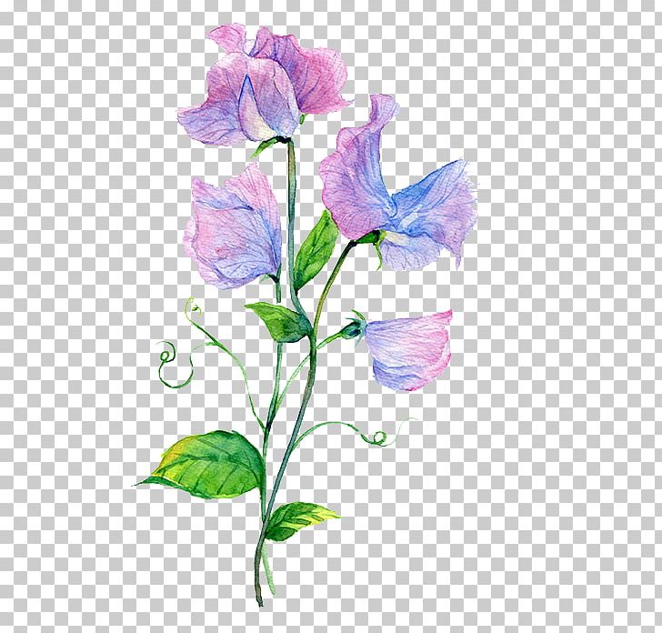 Watercolour Flowers Watercolor Painting Baidu Tieba PNG, Clipart, Bellflower Family, Cartoon, Flower, Flower Arranging, Hand Free PNG Download