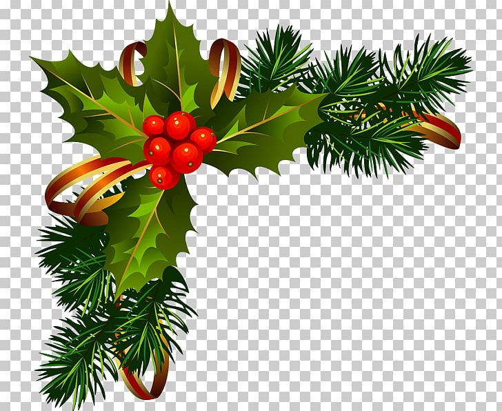 Christmas Decoration Frames Christmas Ornament PNG, Clipart, Aquifoliaceae, Aquifoliales, Branch, Child, Christmas Free PNG Download