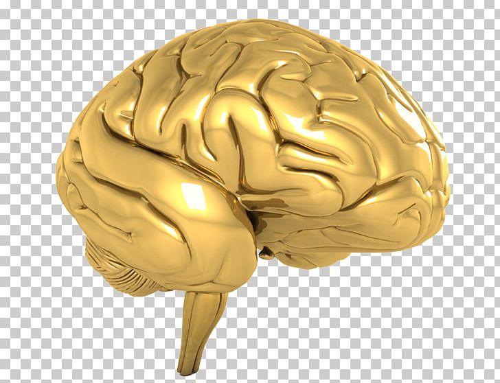 Human Brain Gold Cognitive Training Hidden Eye PNG, Clipart, Agy, Brain, Cognitive Training, Gold, Golden Brain Award Free PNG Download