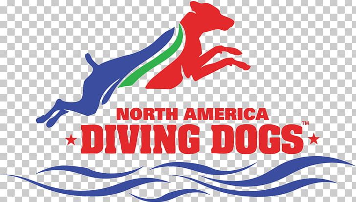 United States Dock Jumping Border Collie American Kennel Club Dog Agility PNG, Clipart, American Kennel Club, Area, Artwork, Border Collie, Brand Free PNG Download