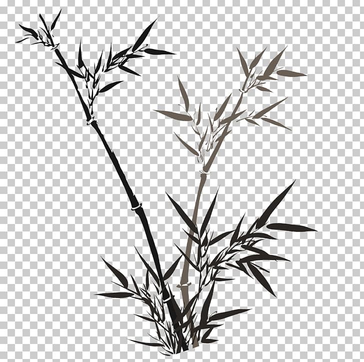 Bamboo Phyllostachys Nigra PNG, Clipart, Bamboo Border, Bamboo Frame, Bamboo House, Bamboo Leaf, Bamboo Leaves Free PNG Download