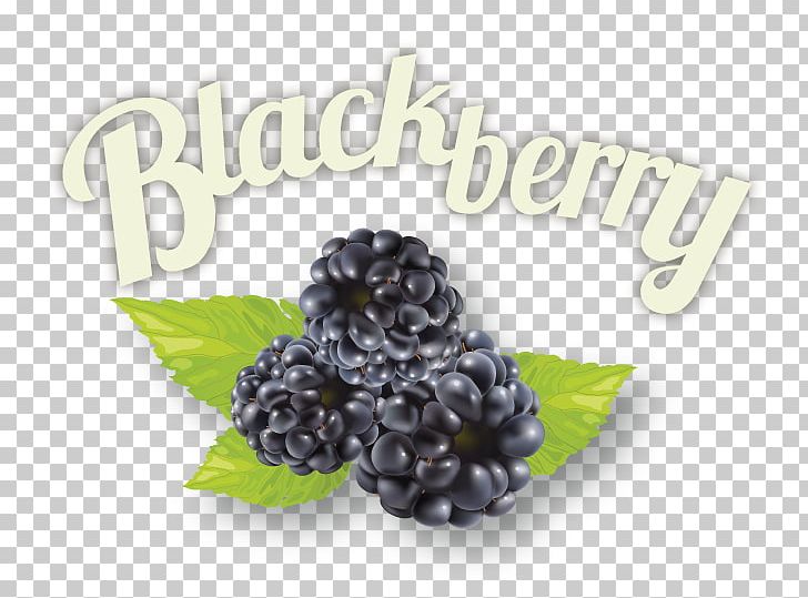 BlackBerry Superfood Jam Ingredient PNG, Clipart, Berry, Blackberry, Blackberry Fruit, Food, Fruit Free PNG Download