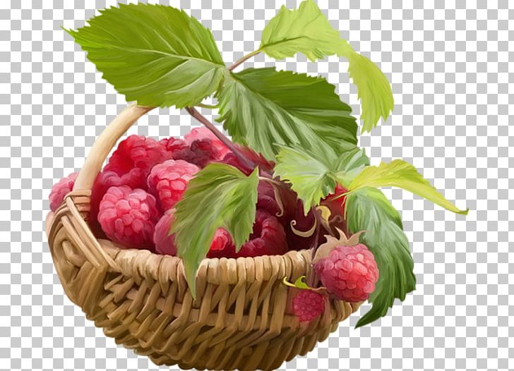 Raspberry Fruit Strawberry Food PNG, Clipart, Amora, Amorodo, Auglis, Berry, Blackberry Free PNG Download