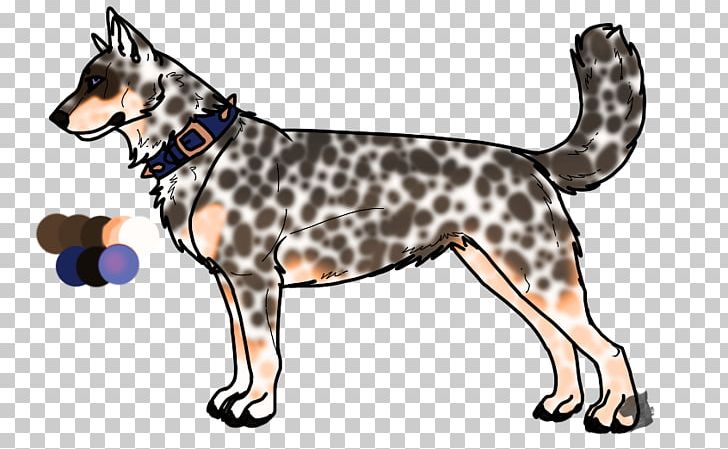 Australian Cattle Dog Puppy Whiskers Stumpy Tail Cattle Dog PNG, Clipart, Animals, Australian Cattle Dog, Breed, Carnivoran, Cat Free PNG Download