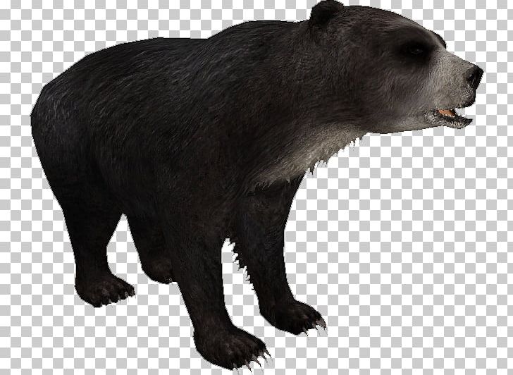Grizzly Bear Short-faced Bears Zoo Tycoon 2 Tremarctos Floridanus PNG, Clipart, American Black Bear, Animal, Animals, Bear, Brown Bear Free PNG Download