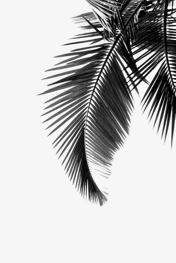 Palm Leaf PNG, Clipart, Background, Clothing, Clothing Printed Pattern, Hand Painted, Hand Painted Background Shading Free PNG Download