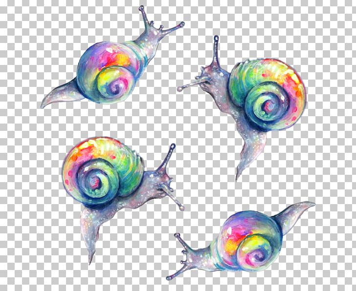Snail Rainbow Painting Slug Color PNG, Clipart, Animals, Art, Color, Drawing, Gastropods Free PNG Download