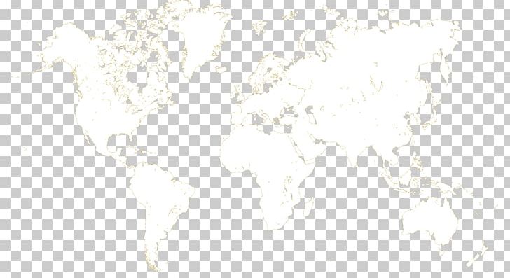 World Drawing White Non-Governmental Organisation Organization PNG, Clipart, Black And White, Drawing, Intergovernmental Organization, M02csf, Map Free PNG Download