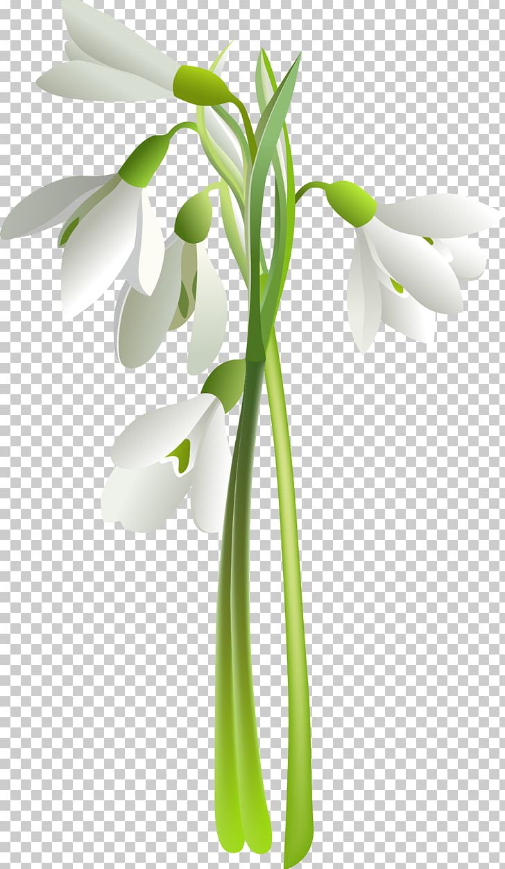 Flower Drawing Painting PNG, Clipart, Art, Blog, Cdr, Computer Icons, Cut Flowers Free PNG Download