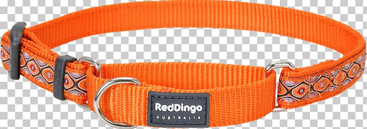 Dingo Dog Collar Martingale American Bully PNG, Clipart, American Bully, Bone, Collar, Dingo, Dog Free PNG Download