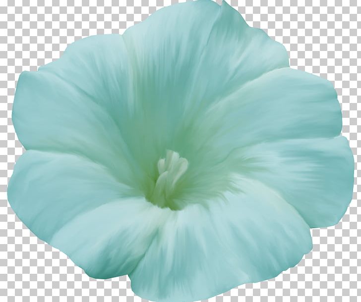 Flower Petal Floral Design Poppy Blue PNG, Clipart, Blue, Floral Design, Flower, Flowering Plant, Flowers Free PNG Download