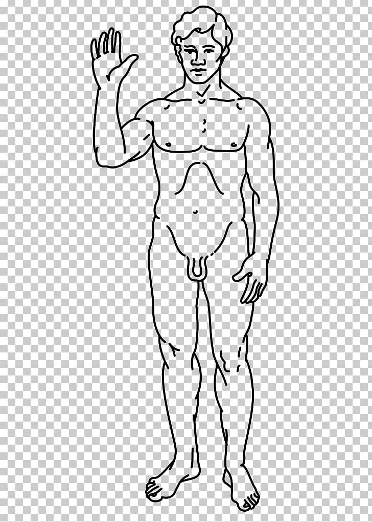 Pioneer Plaque Homo Sapiens Male Man Pioneer Program PNG, Clipart, Arm, Black, Cartoon, Evolution, Face Free PNG Download