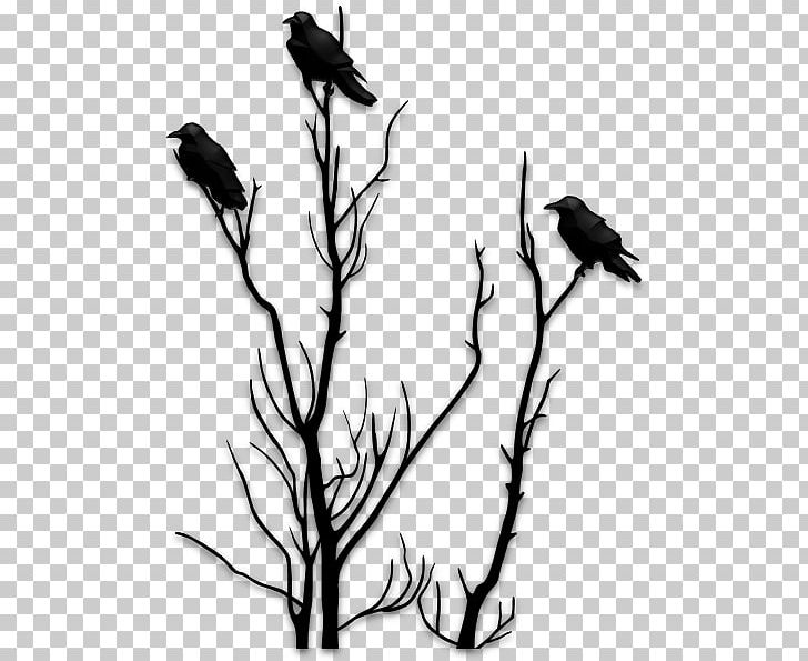 Silhouette Paper Stencil Tree PNG, Clipart, Art, Beak, Bird, Birds ...