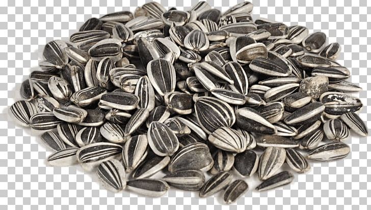 Vegetarian Cuisine Sunflower Seed Nut Fodder PNG, Clipart, Black And White, Buckwheat, Carob Tree, Cereal, Fodder Free PNG Download