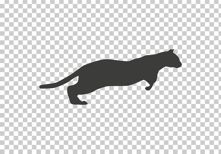 Whiskers Cat PNG, Clipart, Animals, Black, Black And White, Carnivoran, Cat Free PNG Download