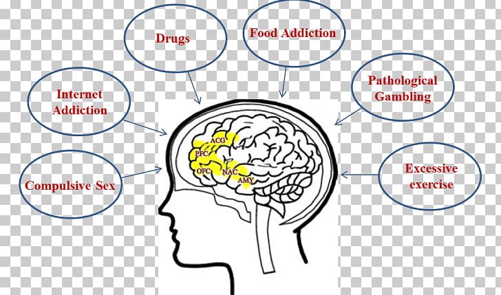 Brain Amygdala Addictive Behavior Addiction Anterior Cingulate Cortex PNG, Clipart, Addictive Behavior, Amygdala, Area, Behavior, Brain Free PNG Download