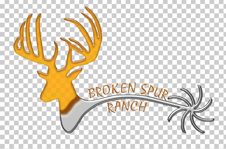 Broken Spur Taxidermy Reindeer Deer Hunting PNG, Clipart, Antler, Barasingha, Brand, Cartoon, Decoy Free PNG Download