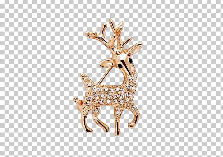 Brooch Earring Jewellery Rhinestone Pin PNG, Clipart, Aliexpress, Animals, Anklet, Bangle, Body Jewelry Free PNG Download