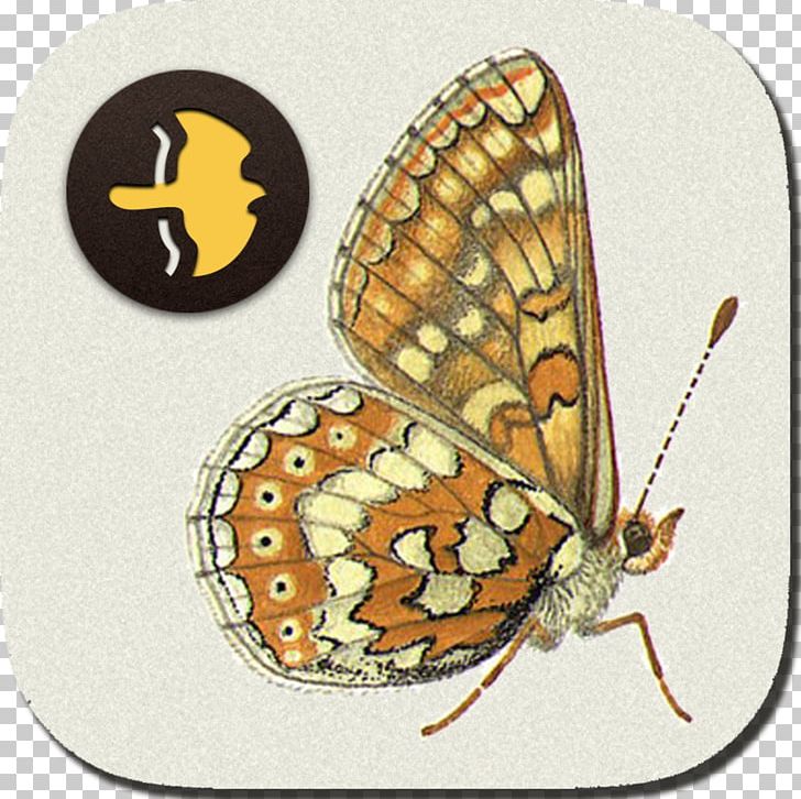 Monarch Butterfly Moth Collins Bird Guide PNG, Clipart, App Store, Arthropod, Bird, Birdwatching, Brush Footed Butterfly Free PNG Download